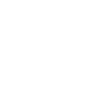 software